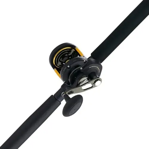 PENN Squall II lever drag fishing rod and reel combo for precise shark fishing control